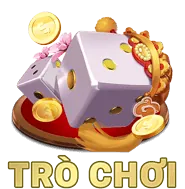 Giới hạn mục đích thu thập dữ liệu người dùng c168q